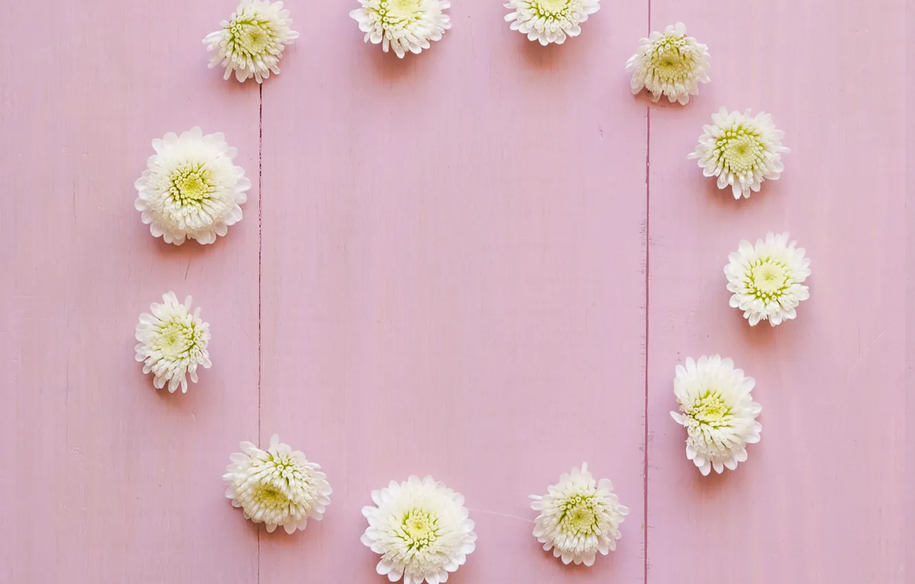 Photo wallpaper flowers, white, white, buds, wood, pink, flowers, decoration