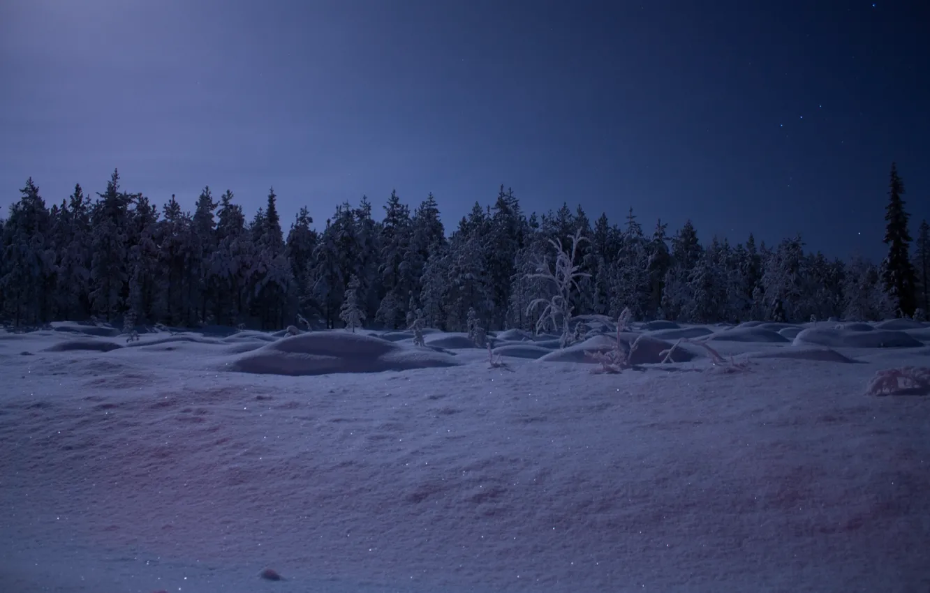 Photo wallpaper forest, the sky, snow, trees, night, Winter, stars, frost