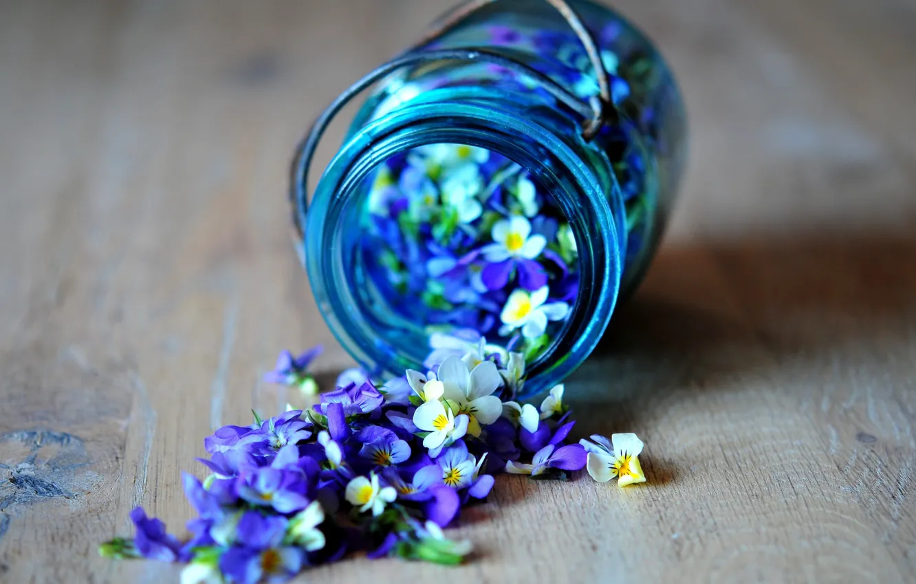 Photo wallpaper flowers, blue, blue, petals, jars