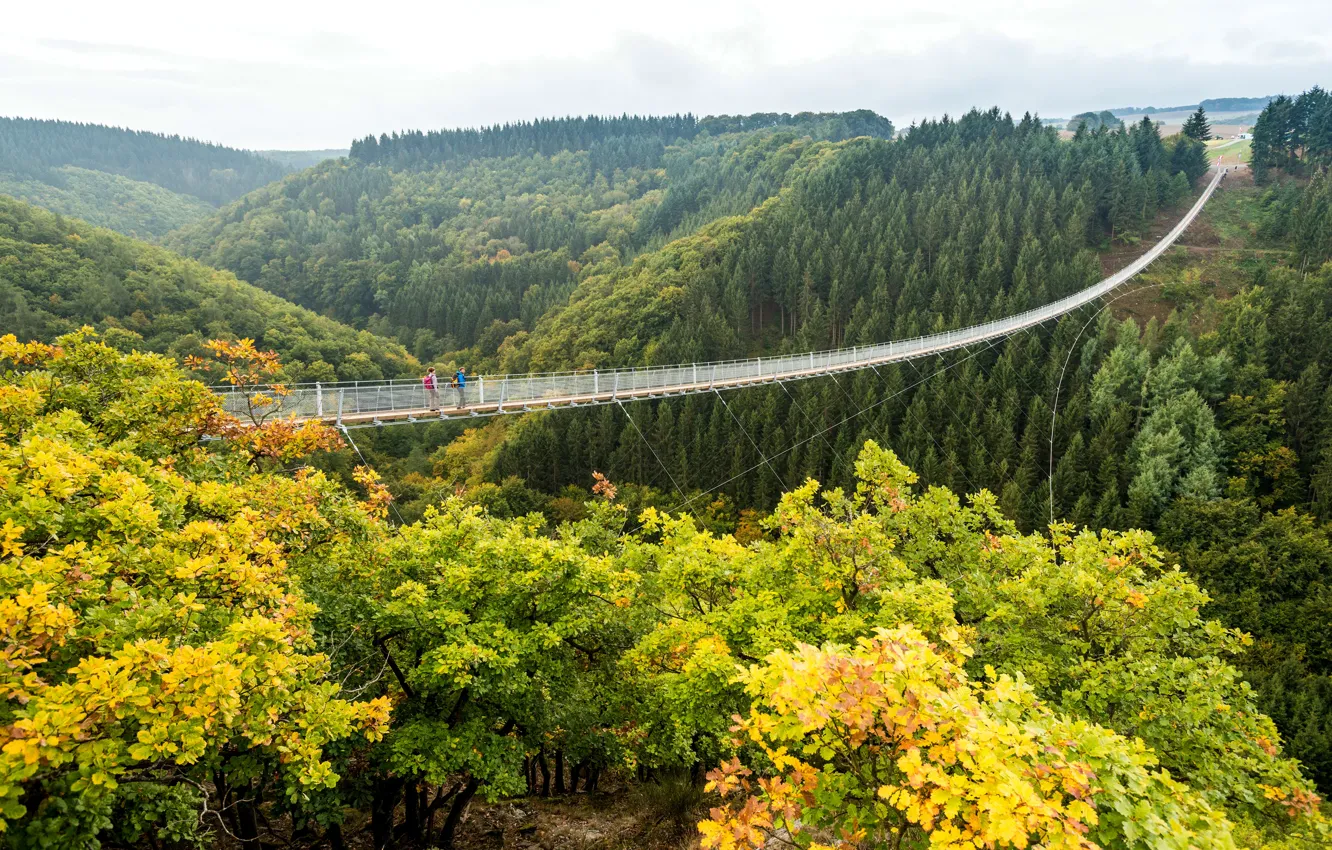 Photo wallpaper autumn, forest, trees, bridge, Germany, valley, abyss, cable car