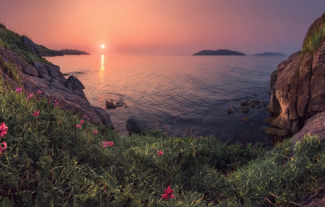 Photo wallpaper sea, summer, the sun, sunset, Lily