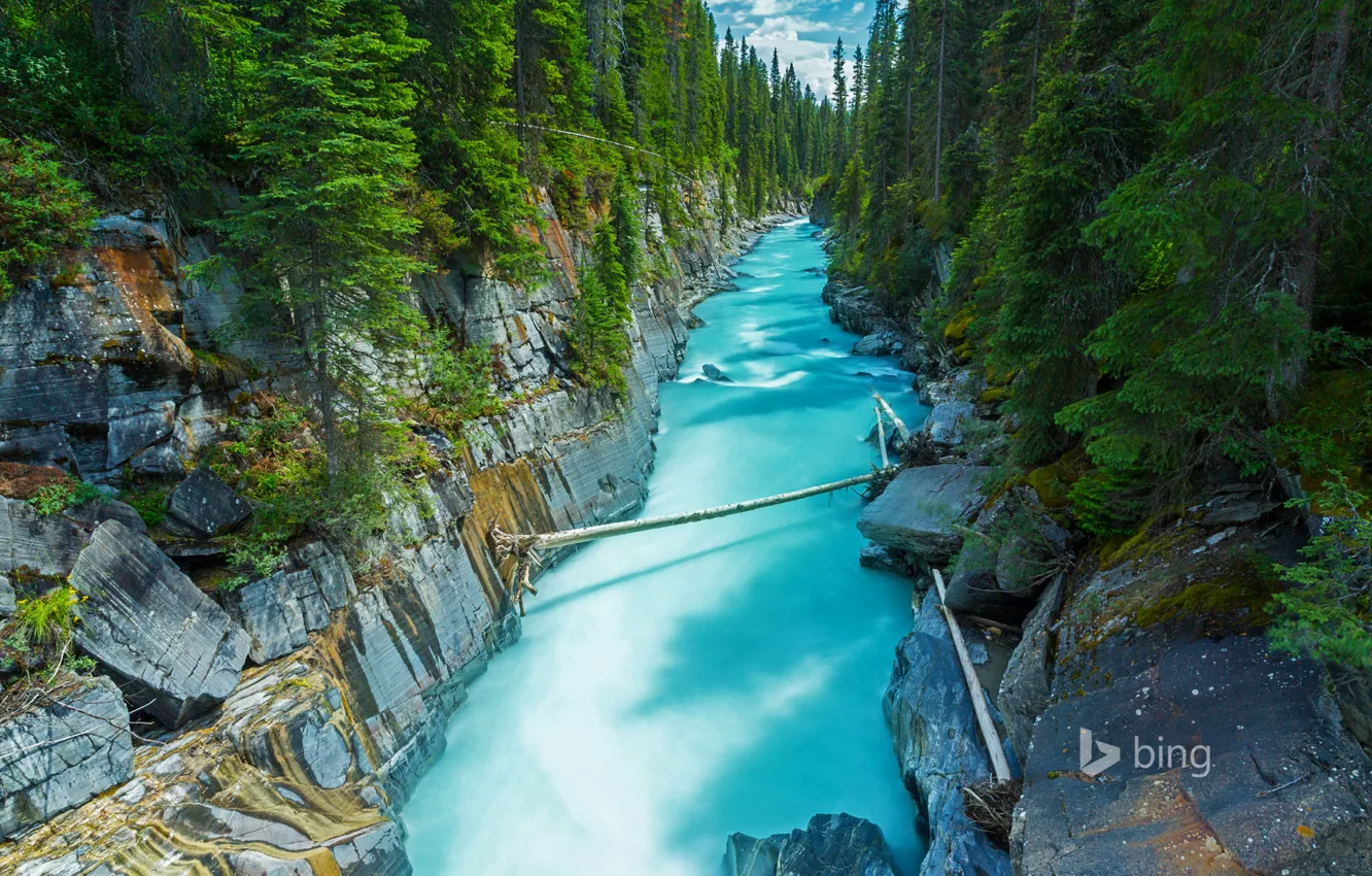 Photo wallpaper forest, river, rocks, Canada, British Columbia, British Columbia, National Park, NUMA Falls