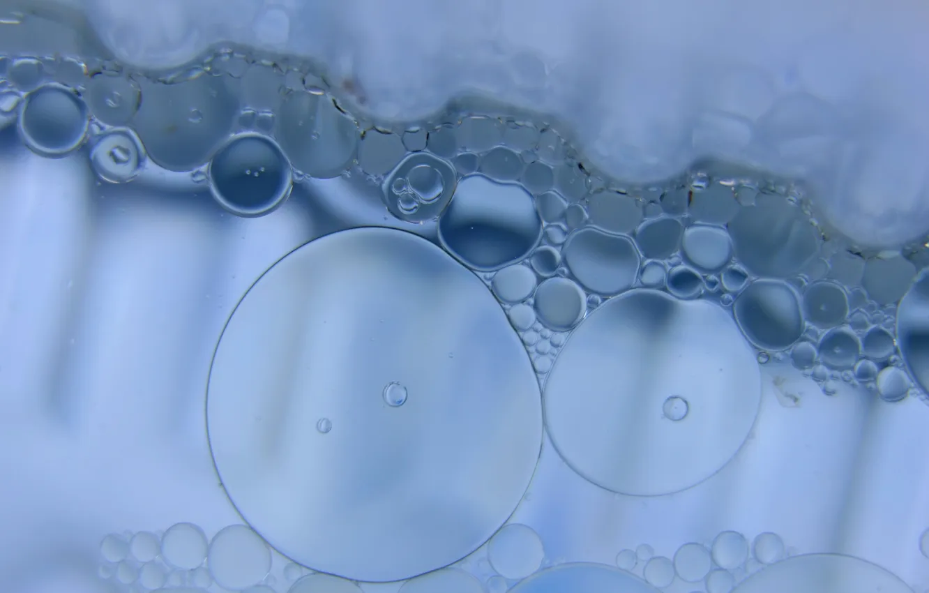 Photo wallpaper foam, bubbles, bubbles, soap