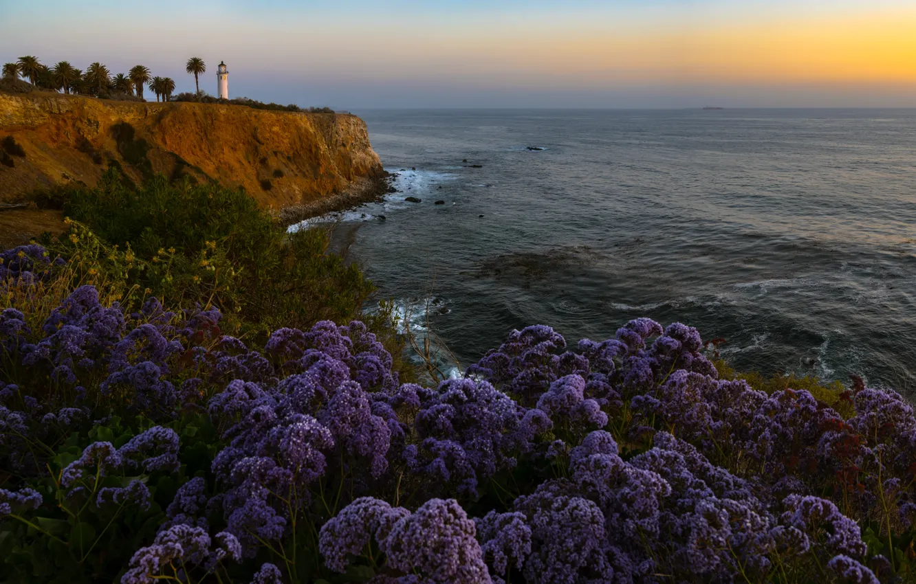 Photo wallpaper landscape, sunset, nature, open, the ocean, shore, vegetation, lighthouse