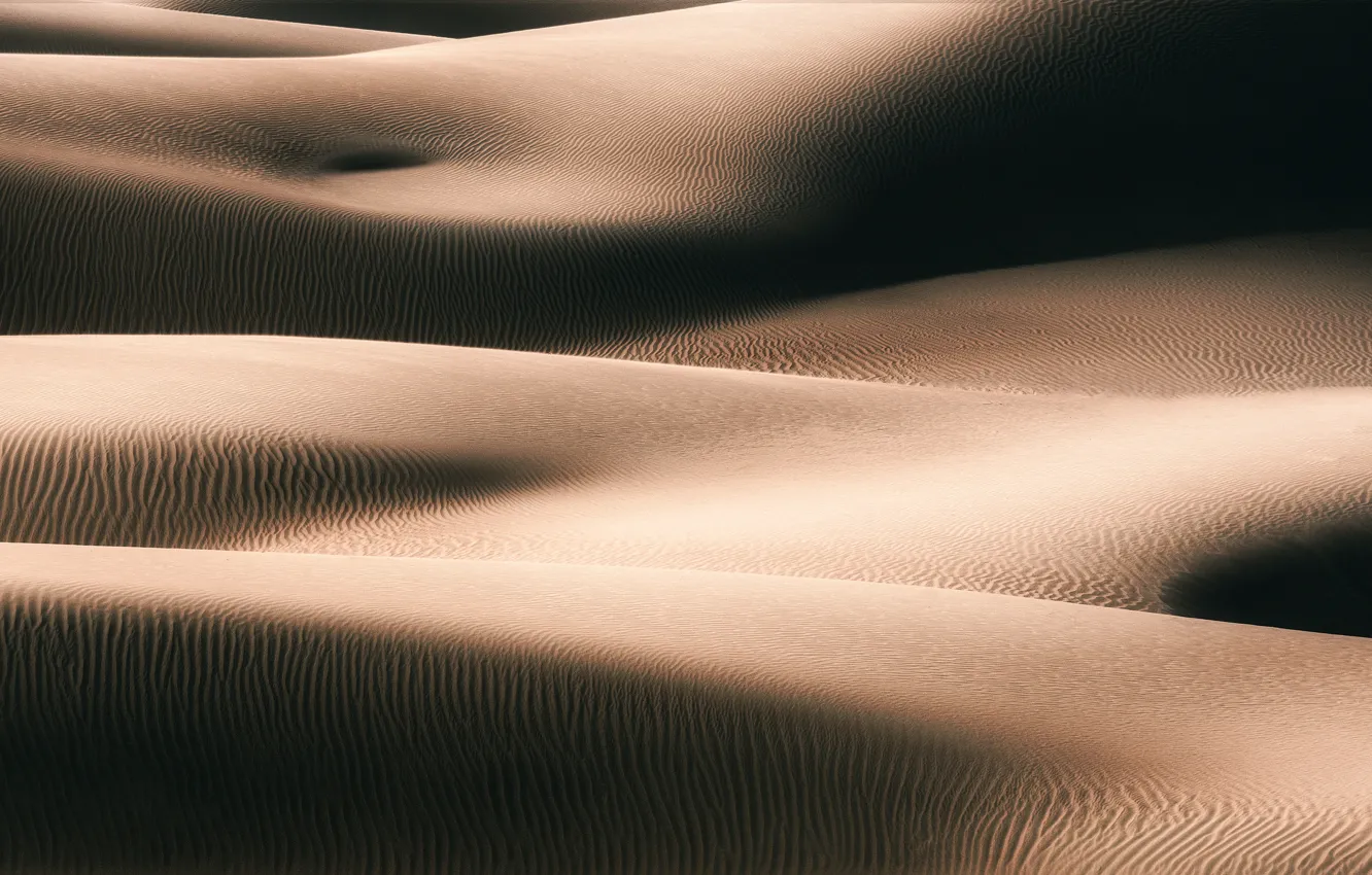 Photo wallpaper sand, the dunes, Bodies