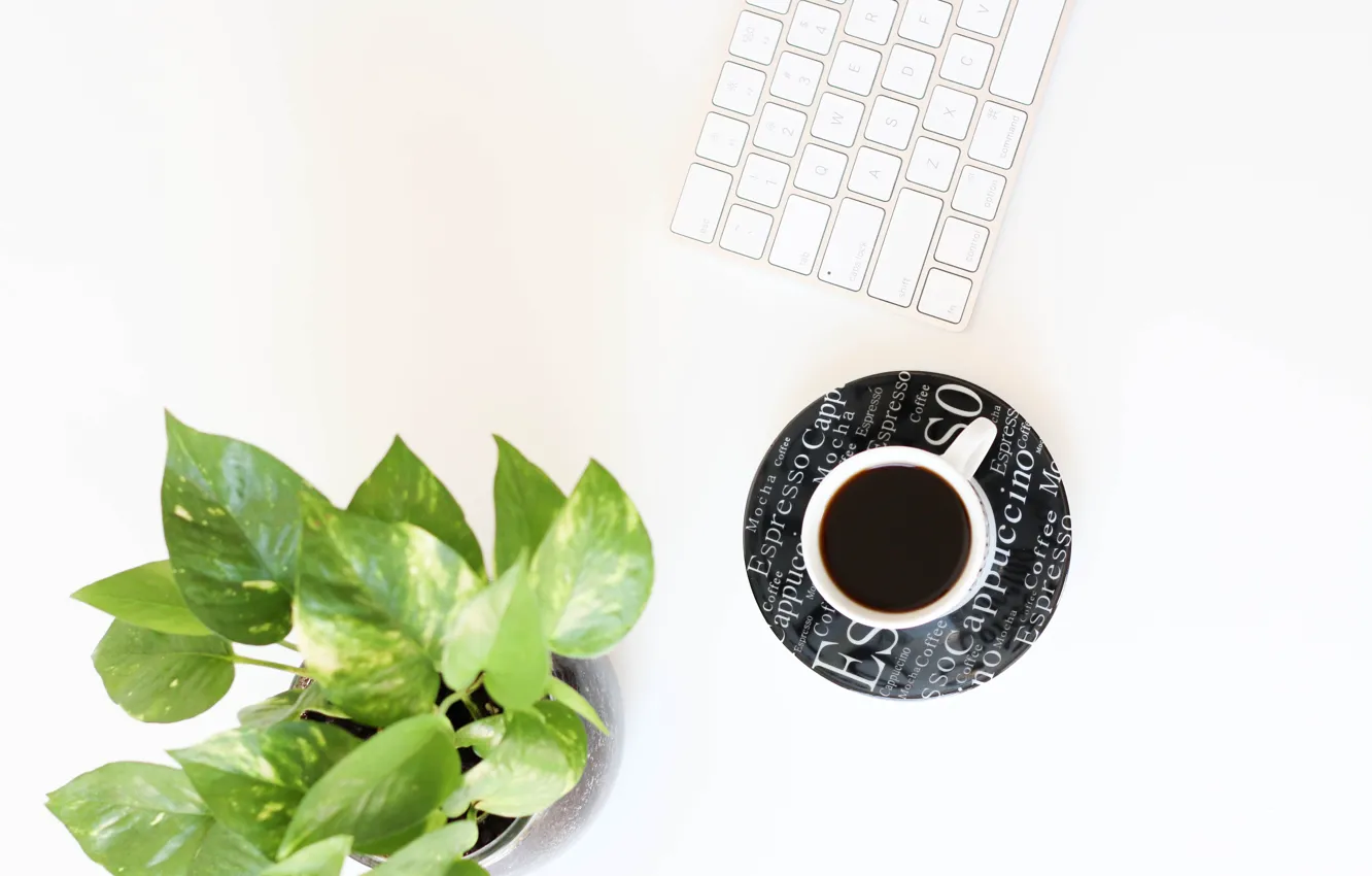 Photo wallpaper flower, coffee, Cup, keyboard