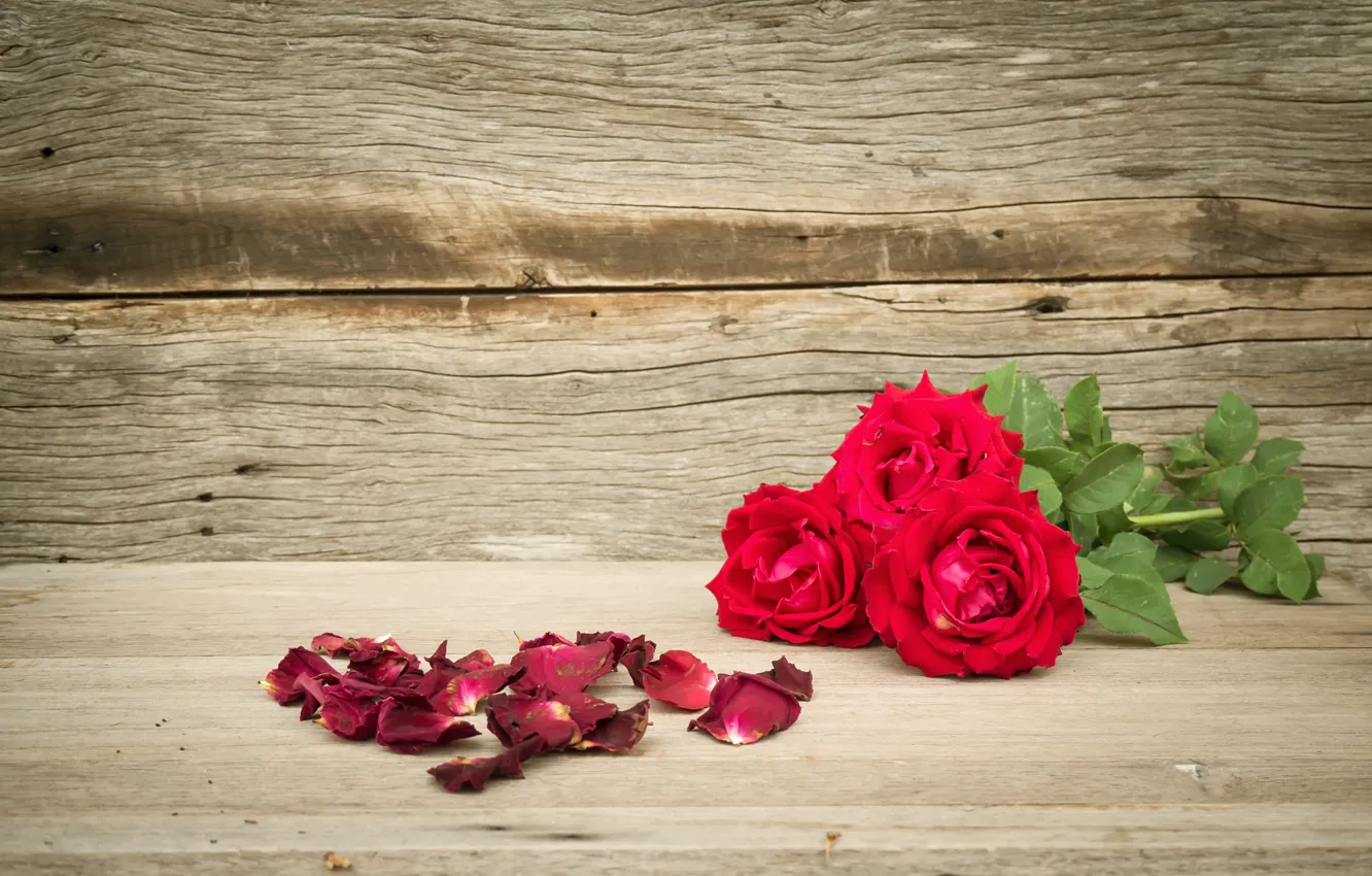 Photo wallpaper flowers, roses, bouquet, petals