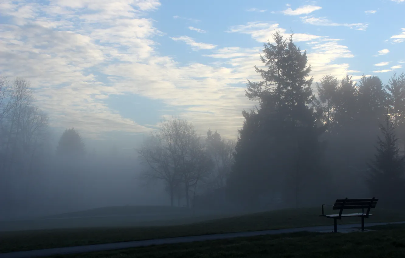 Photo wallpaper fog, mood, morning, bench