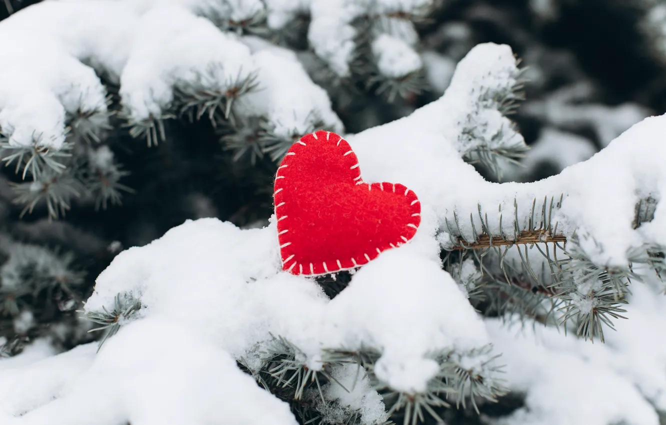 Photo wallpaper winter, snow, love, heart, tree, red, love, heart