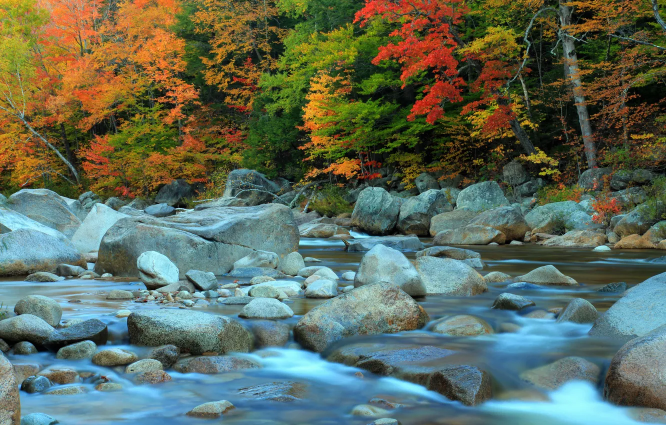 Photo wallpaper autumn, forest, trees, river, stones, stream, thresholds, the crimson