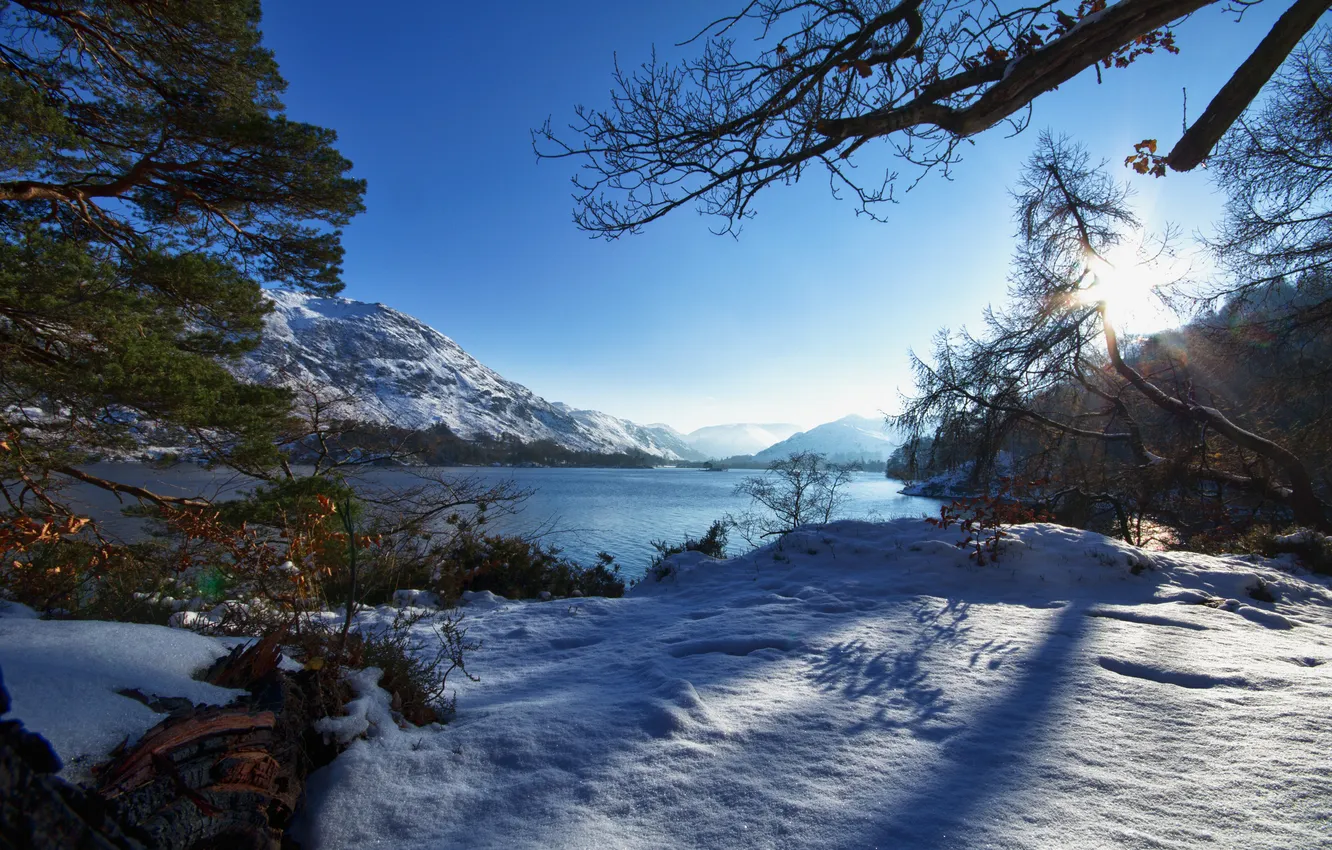 Photo wallpaper winter, forest, mountains, lake