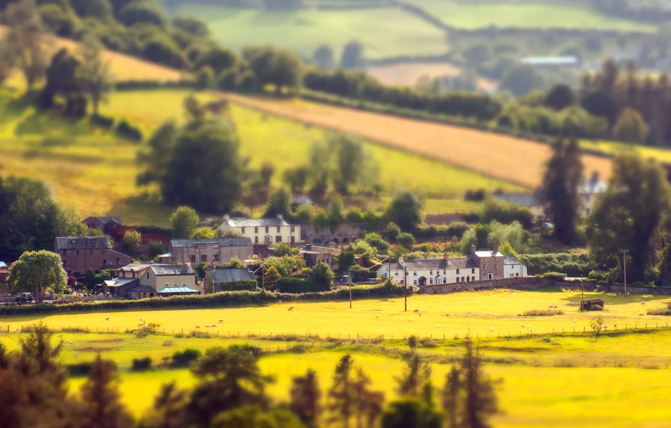 Photo wallpaper field, grass, trees, green, hills, home, valley, village