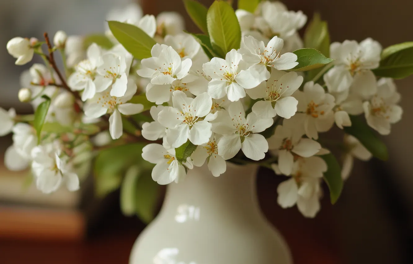 Photo wallpaper leaves, flowers, bouquet, spring, vase, white, flowering, Apple blossoms