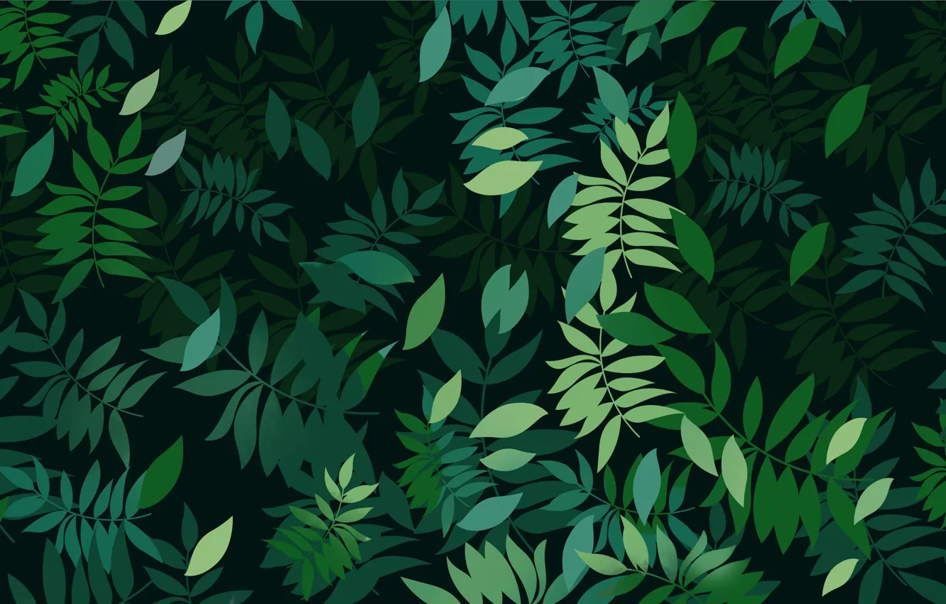 Photo wallpaper Leaves, Plants, Leaves, Plants, Green Background, Green Background