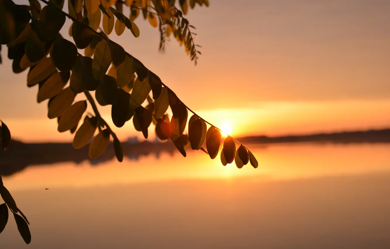Photo wallpaper landscape, dawn, morning