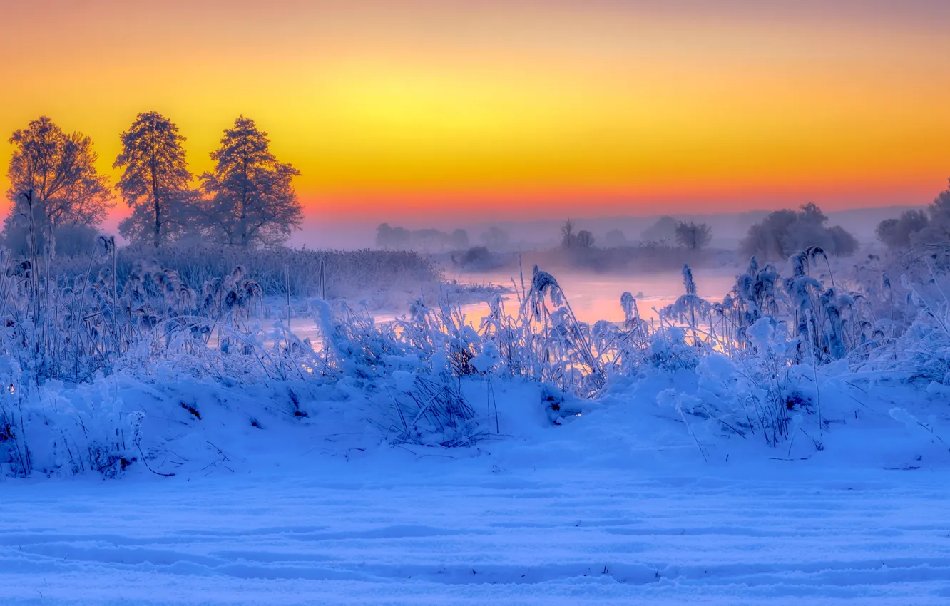 Photo wallpaper winter, snow, trees, river, sunrise, dawn, morning, Poland