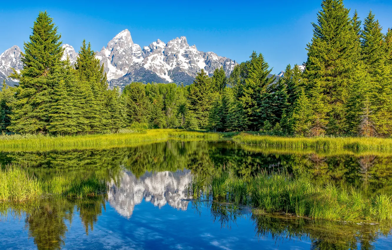 Photo wallpaper greens, forest, the sky, the sun, trees, mountains, lake, rocks