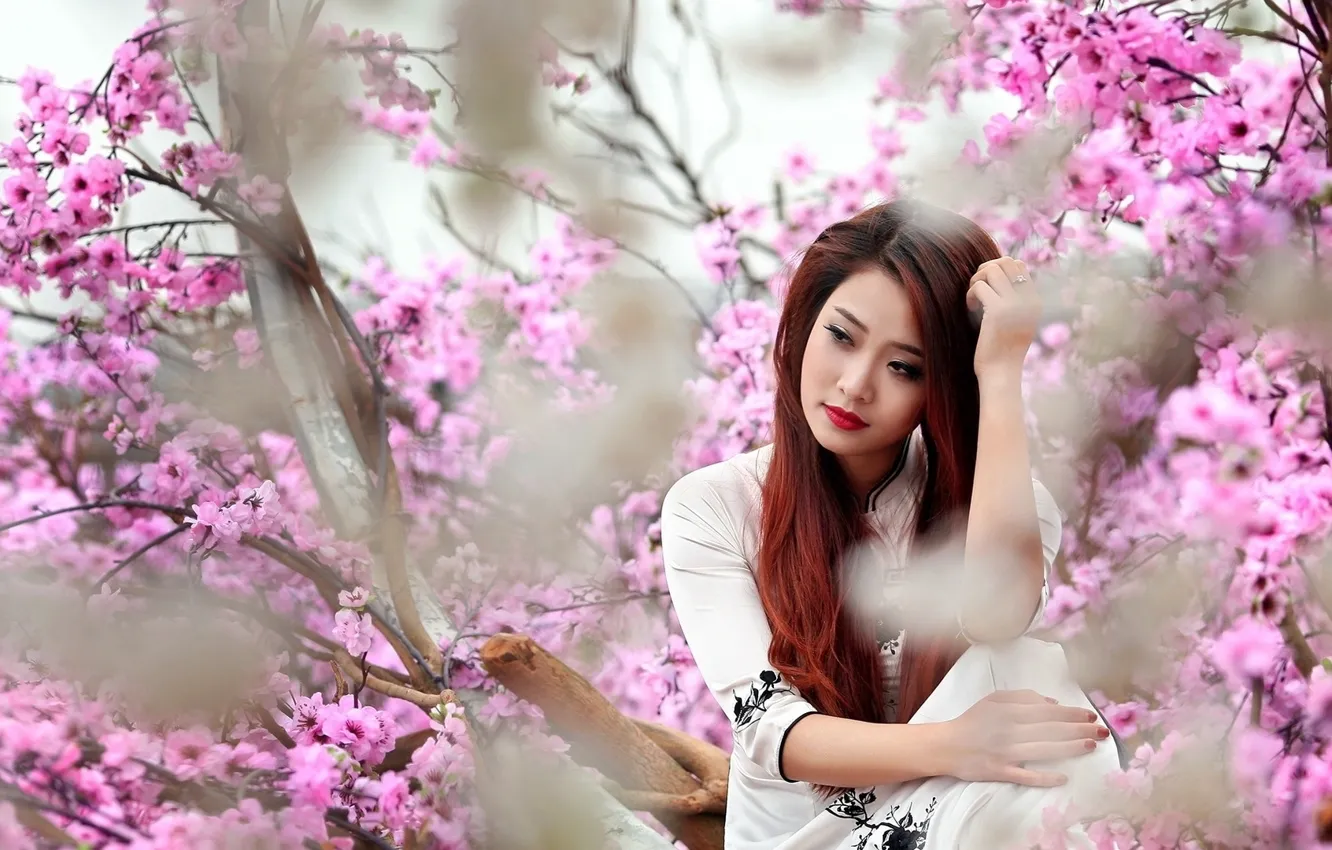 Photo wallpaper reverie, red hair, red hair, cherry blossoms, blurred background, charm, cherry blossom, femininity