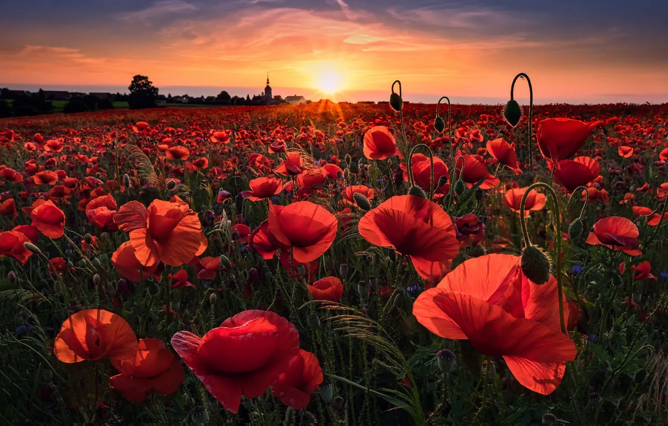 Photo wallpaper summer, sunset, Maki