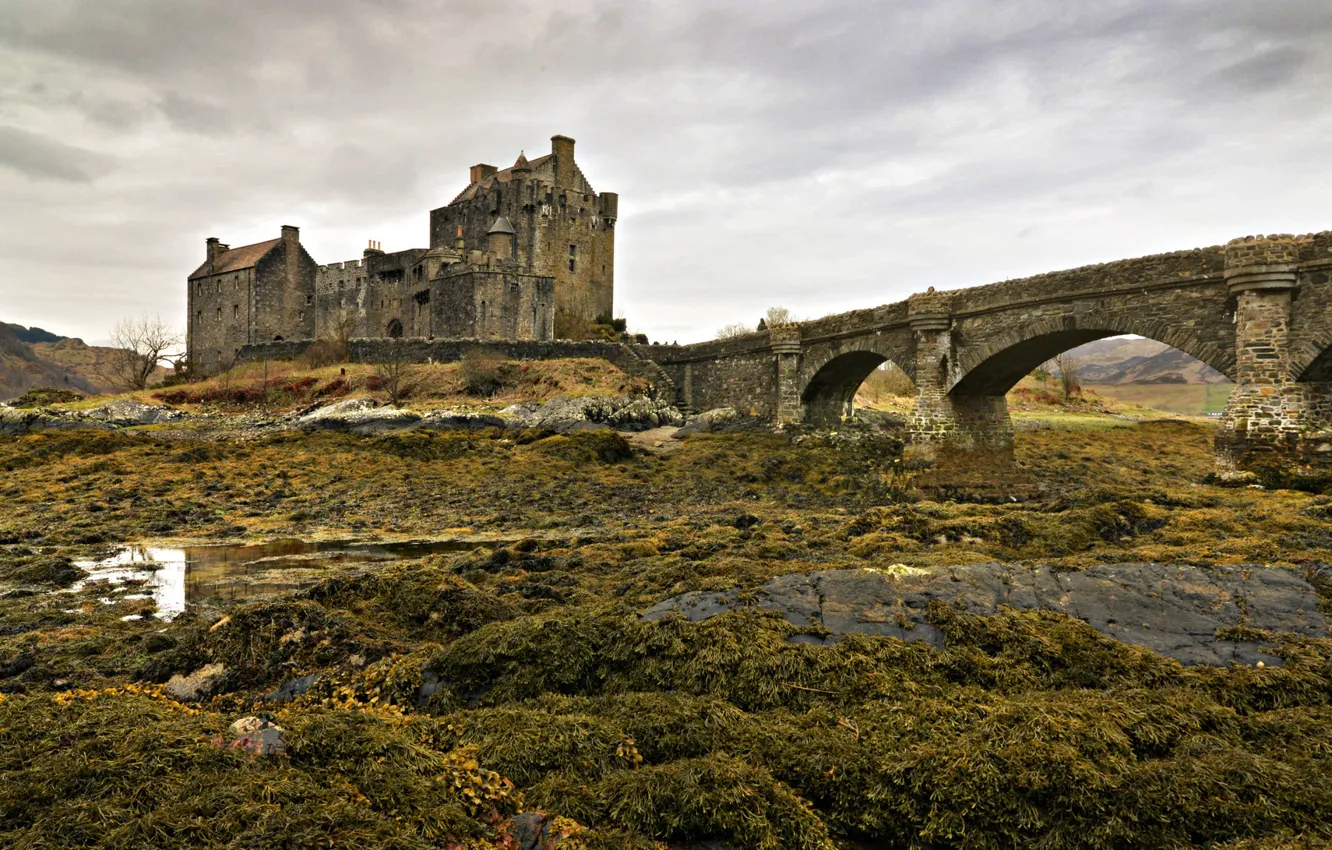 Photo wallpaper bridge, castle, Scotland, Eilean Donan