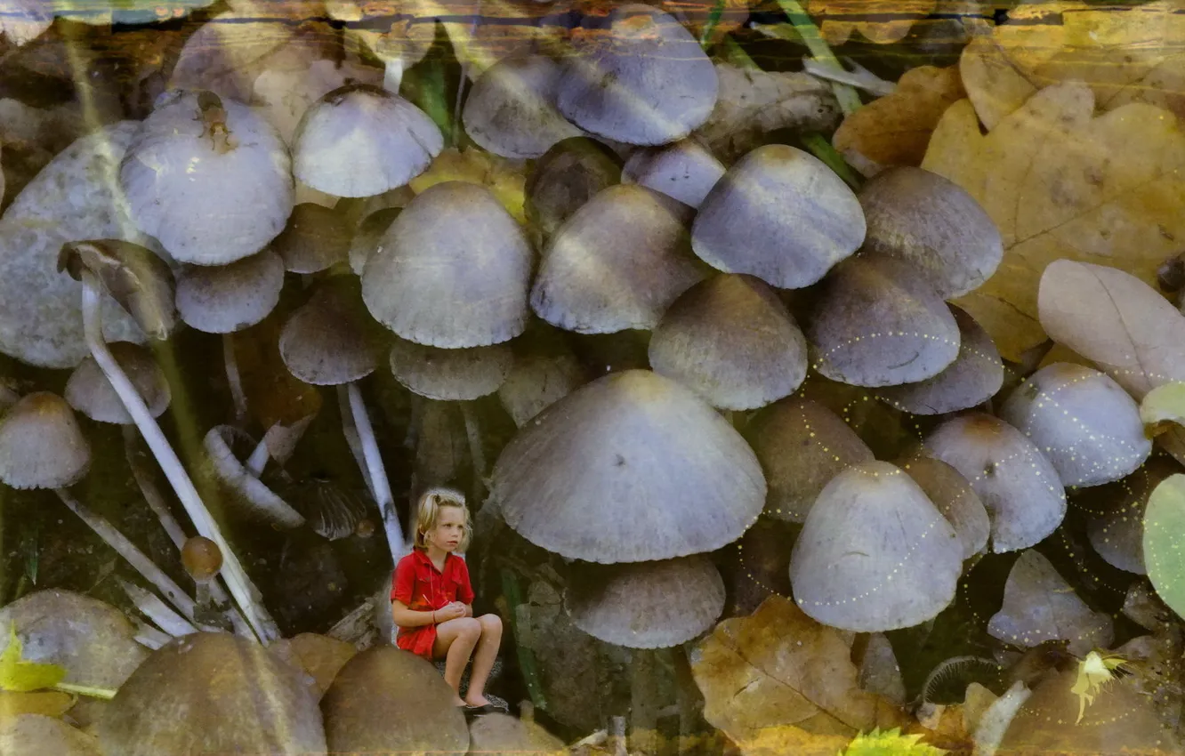 Photo wallpaper style, background, mushrooms, girl