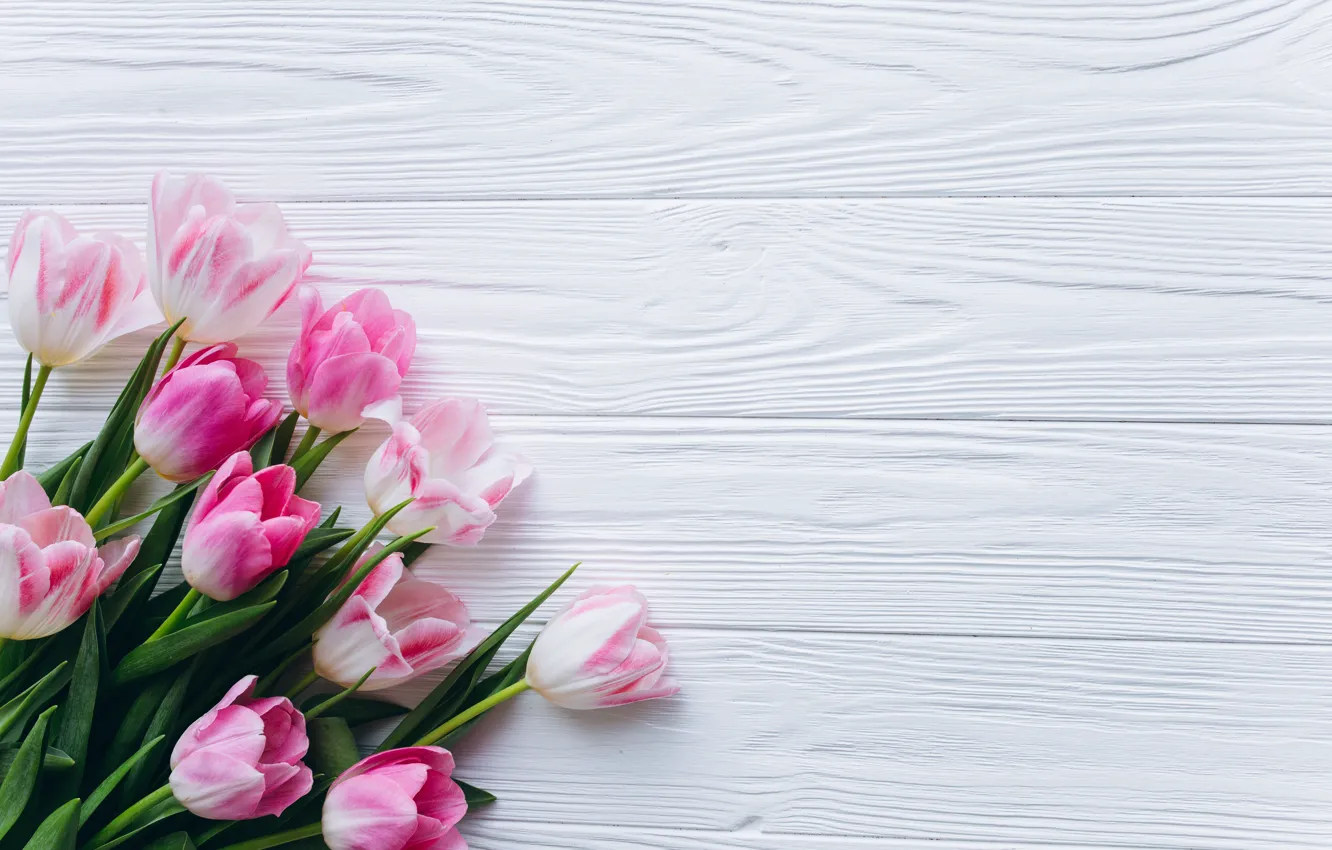 Photo wallpaper flowers, tulips, pink, fresh, wood, pink, flowers, beautiful