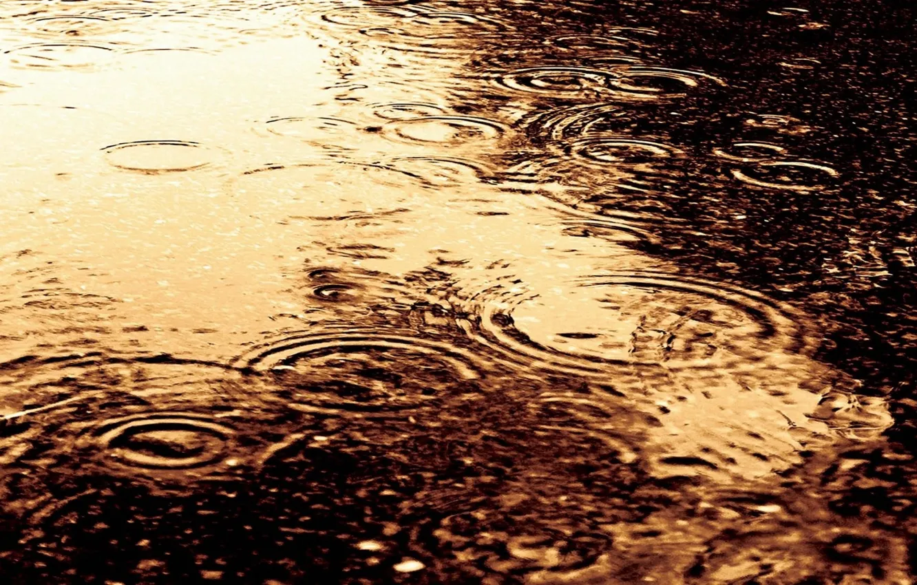 Photo wallpaper water, drops, circles, rain, divorce