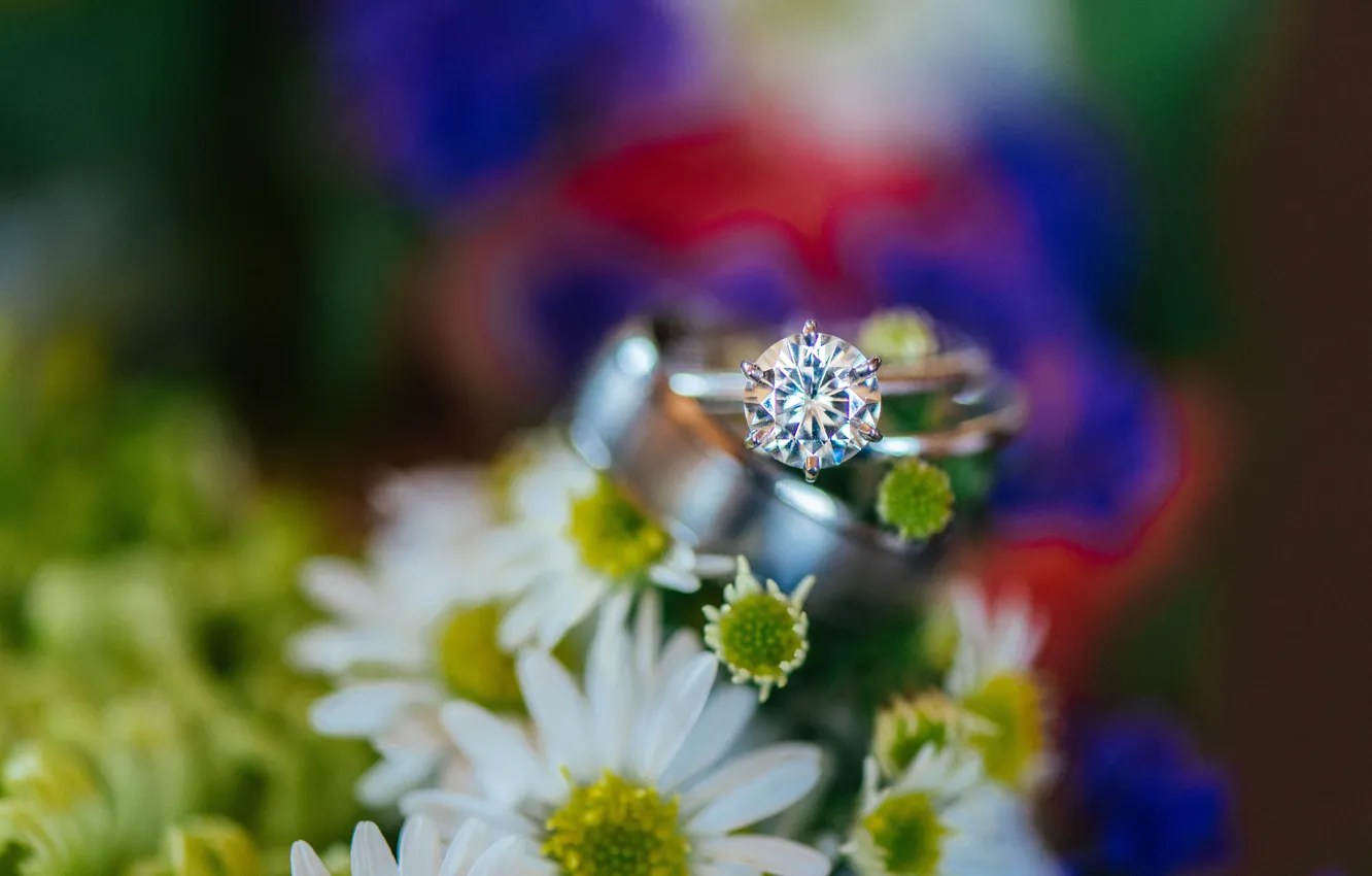 Photo wallpaper stone, ring, wedding