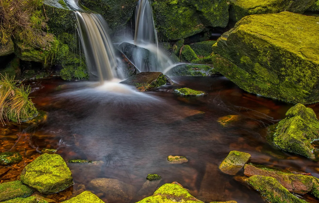 Photo wallpaper forest, water, nature, stones, waterfall, moss