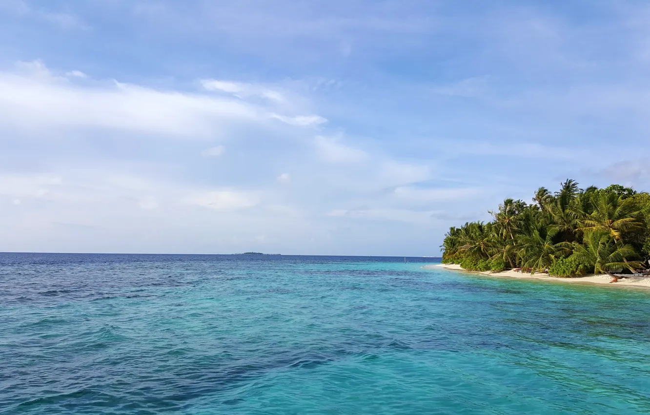 Photo wallpaper beach, tropics, palm trees, the ocean, relax, Maldives