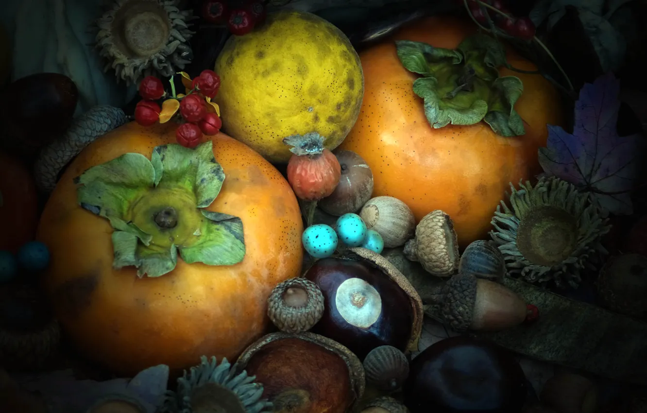 Photo wallpaper autumn, texture, walnut, the fruit, acorn, chestnut, persimmon