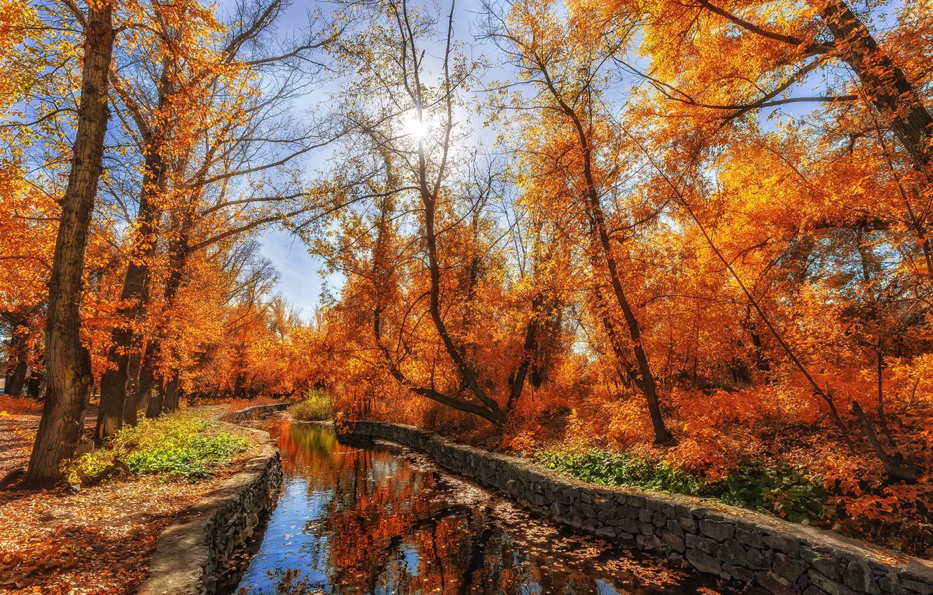 Photo wallpaper autumn, the sun, Park, river, Sahaidak Paul