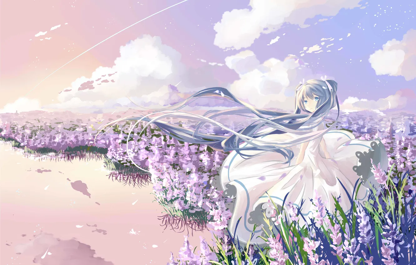 Photo wallpaper the sky, water, girl, clouds, flowers, nature, reflection, art