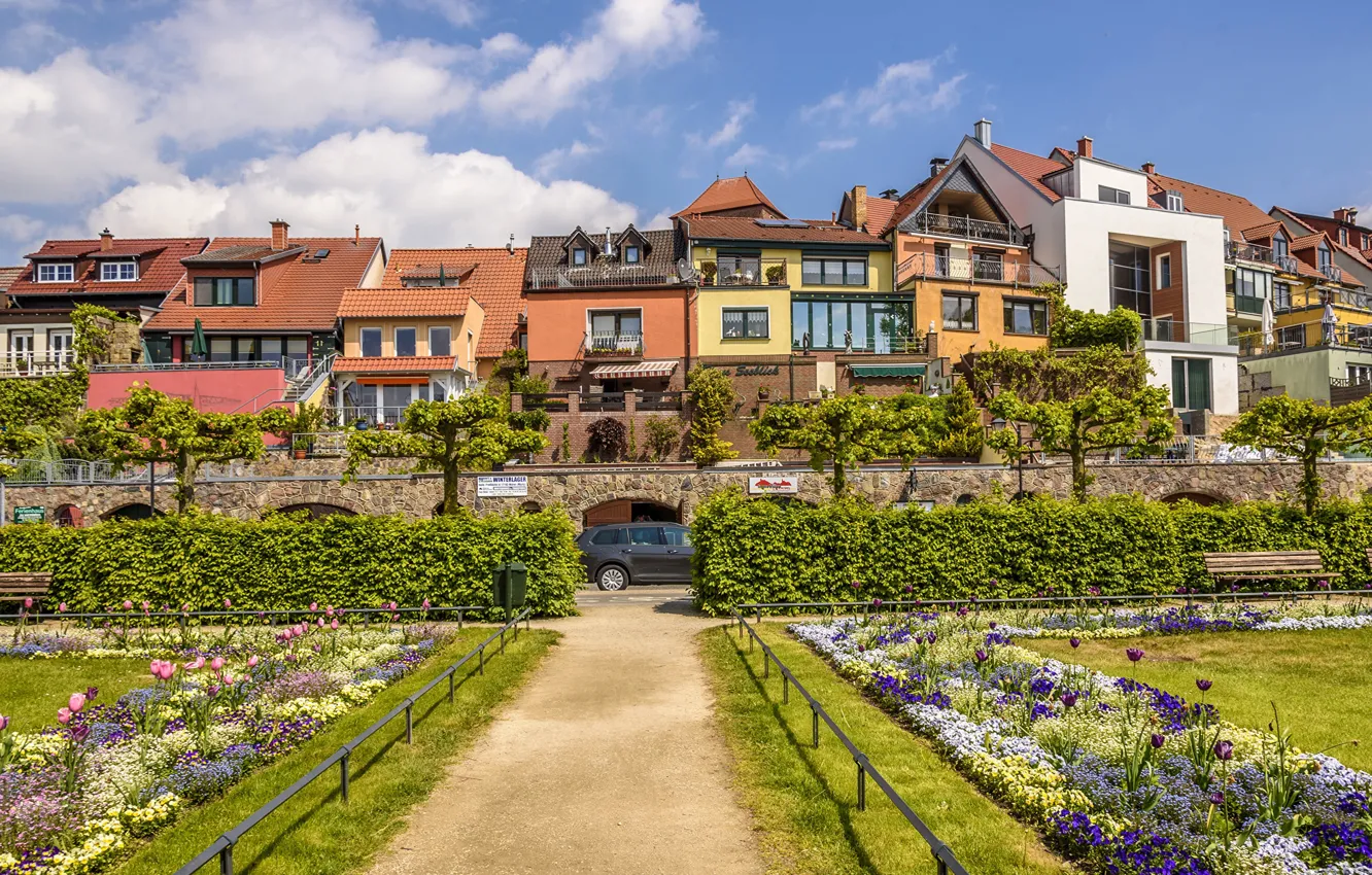 Photo wallpaper greens, photo, home, Germany, Were