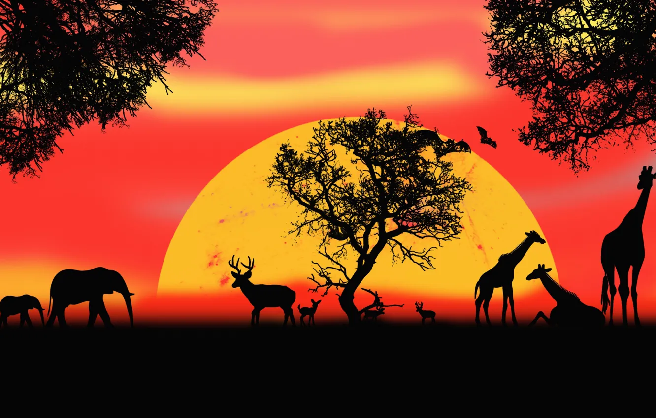 Photo wallpaper animal, picture, Safari