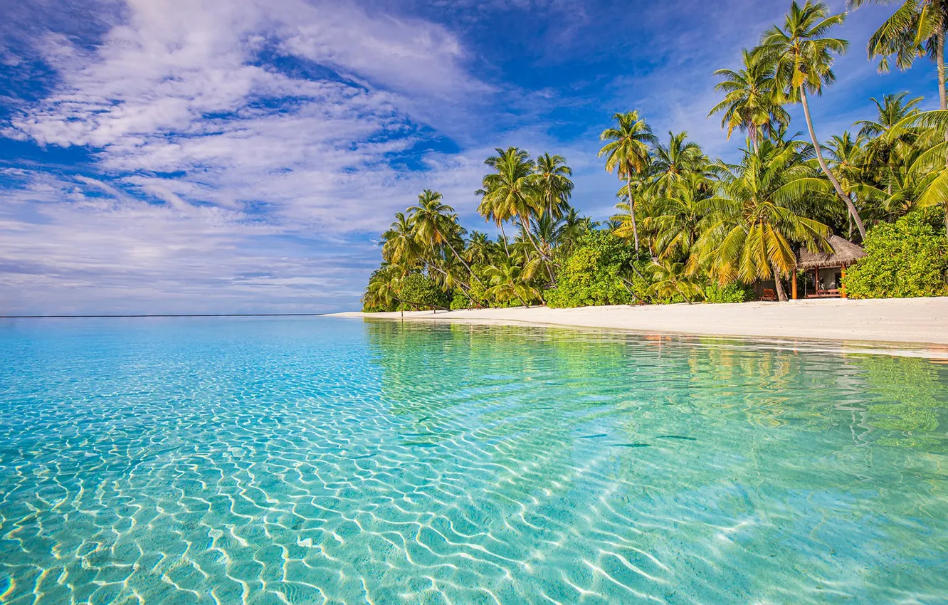 Photo wallpaper beach, tropics, palm trees, the ocean, The Maldives, The Indian ocean