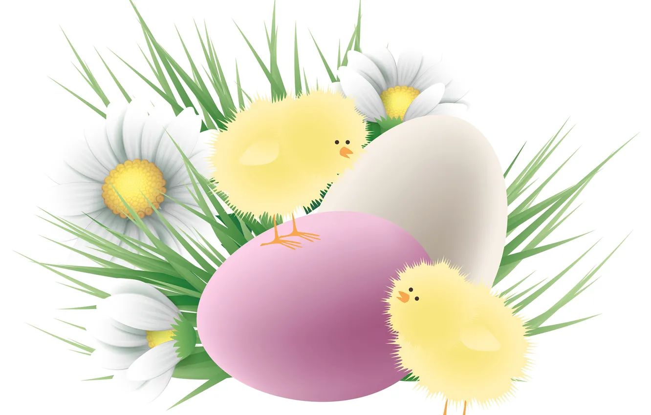 Photo wallpaper chickens, chamomile, eggs, Easter