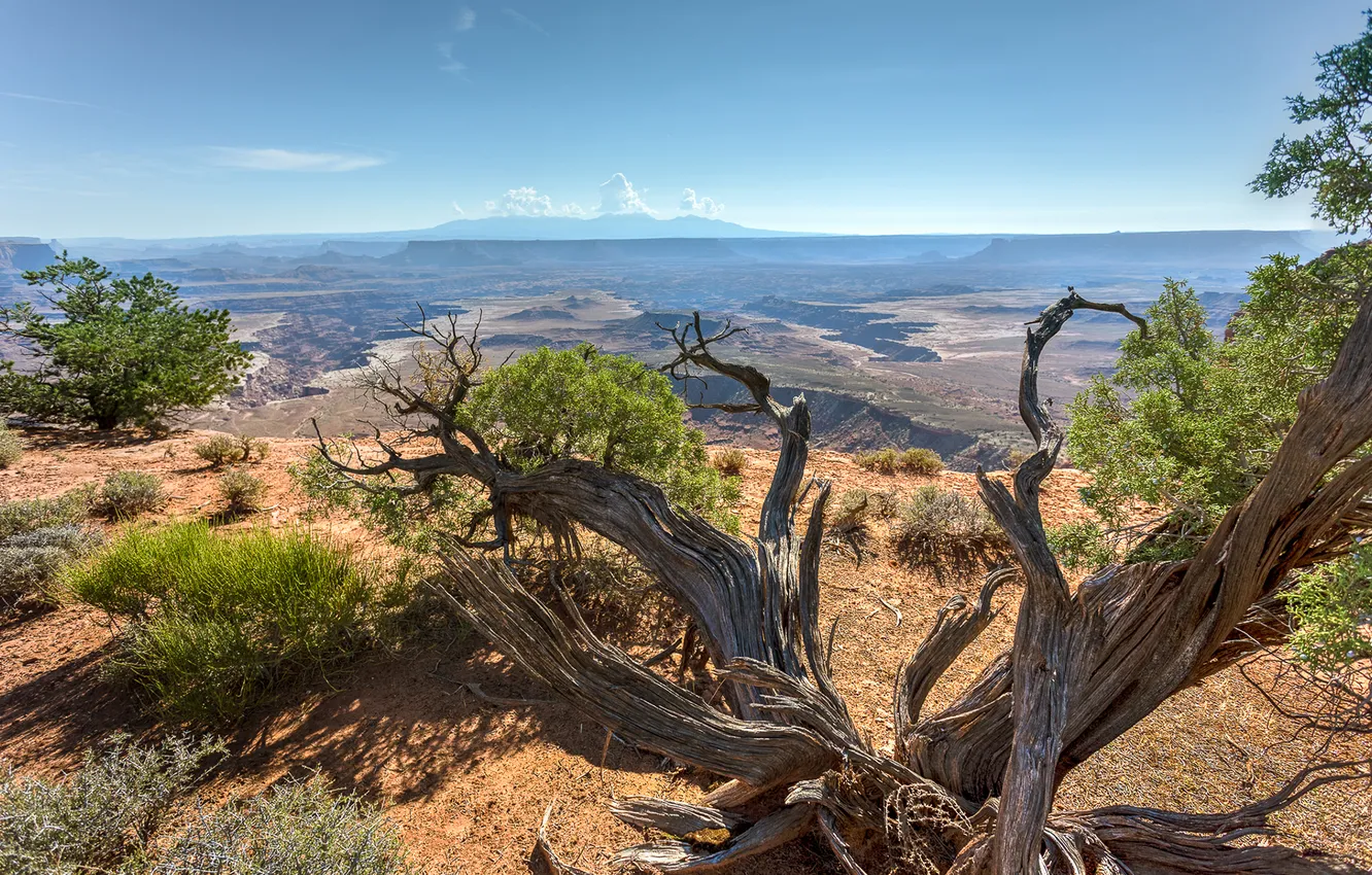 Photo wallpaper USA, rock, sky, Utah, Canyonlands