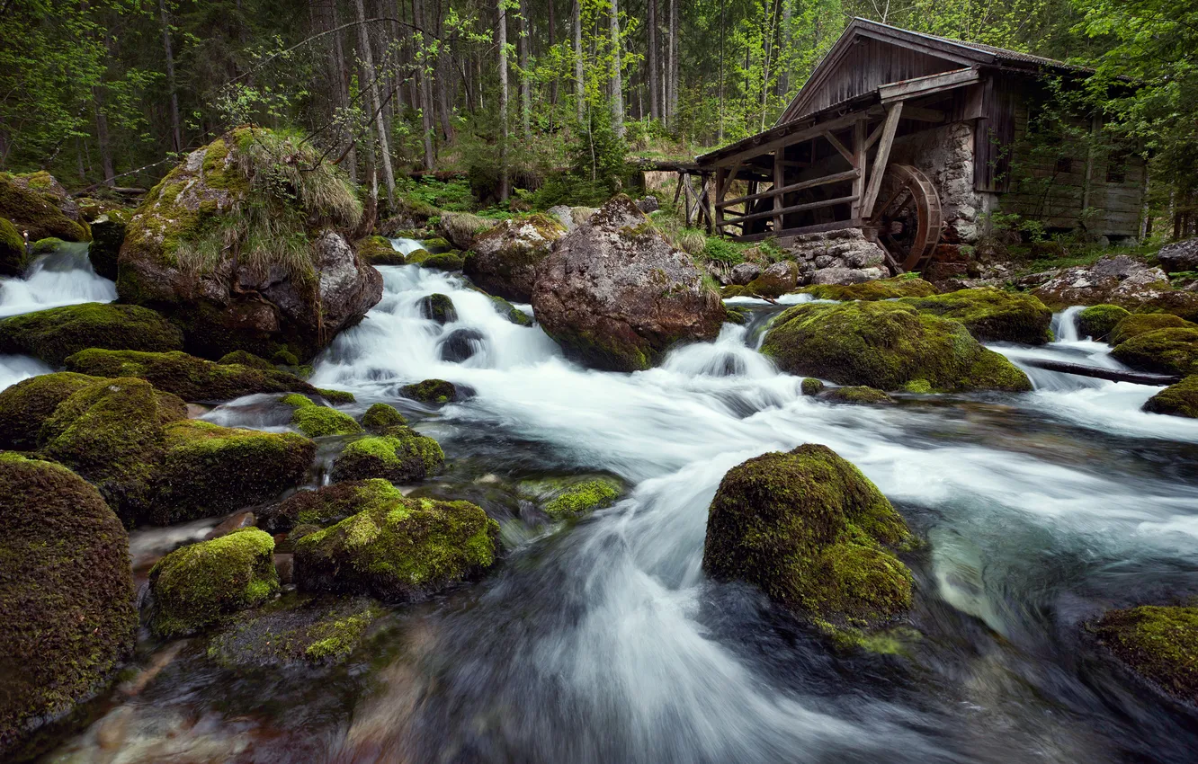 Photo wallpaper river, stones, waterfall, moss