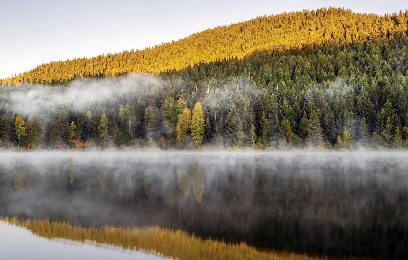Photo wallpaper reflection, light, mountains, fog, lake, haze, autumn, forest