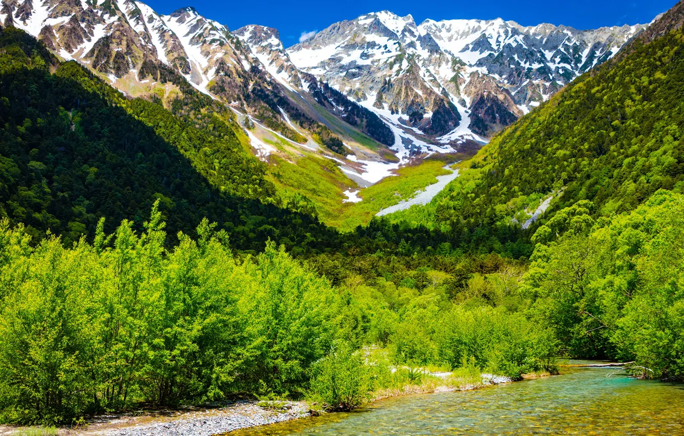 Photo wallpaper greens, the sun, trees, mountains, stream, Japan, gorge, the bushes