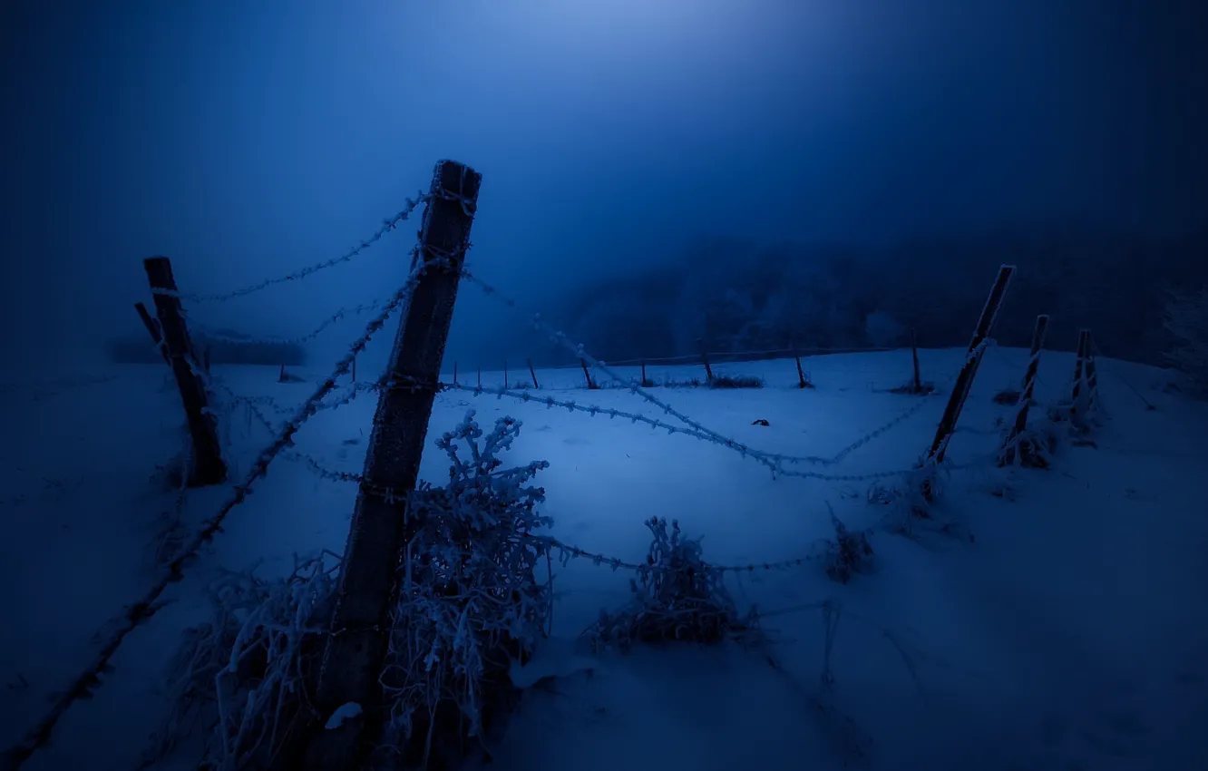 Photo wallpaper winter, snow, night, the fence