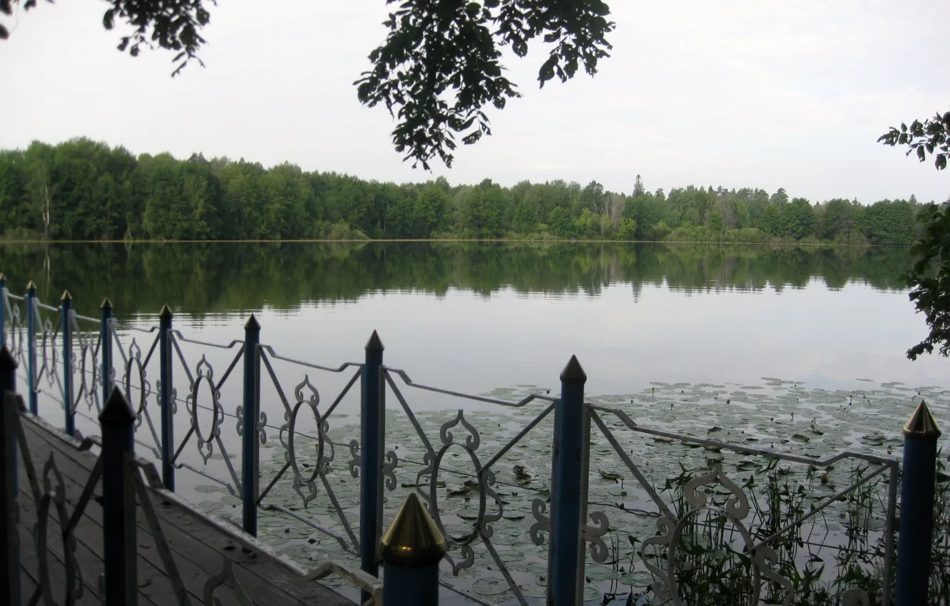 Photo wallpaper forest, water, bridge, lake