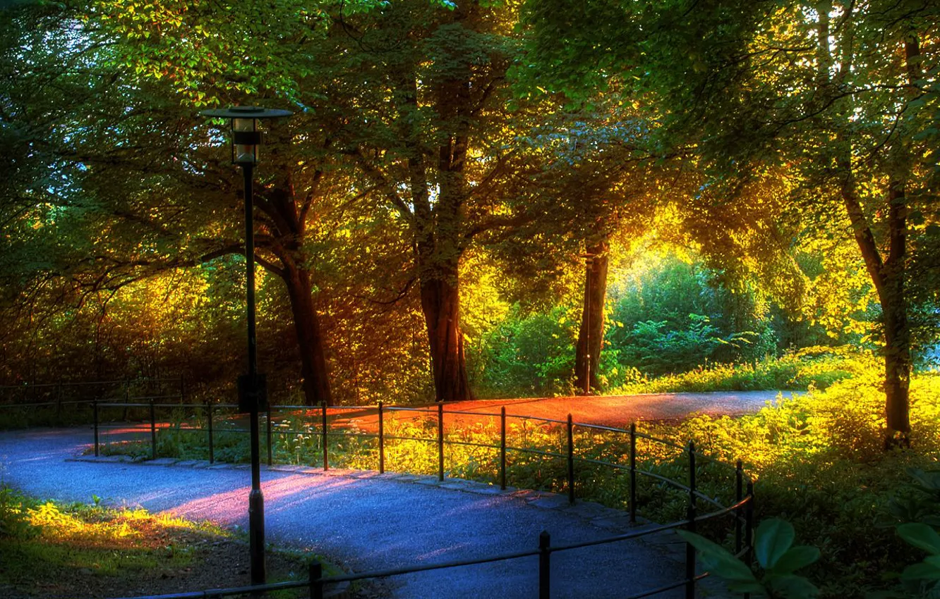 Photo wallpaper nature, Park, well