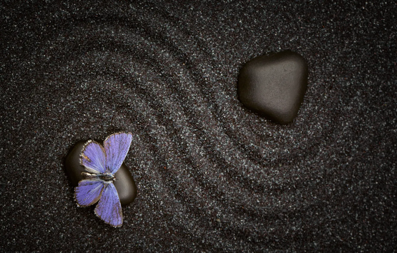 Photo wallpaper sand, pattern, butterfly, stone, texture