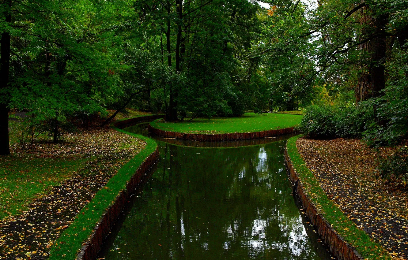 Photo wallpaper greens, autumn, trees, nature, Park, green, channel, falling leaves