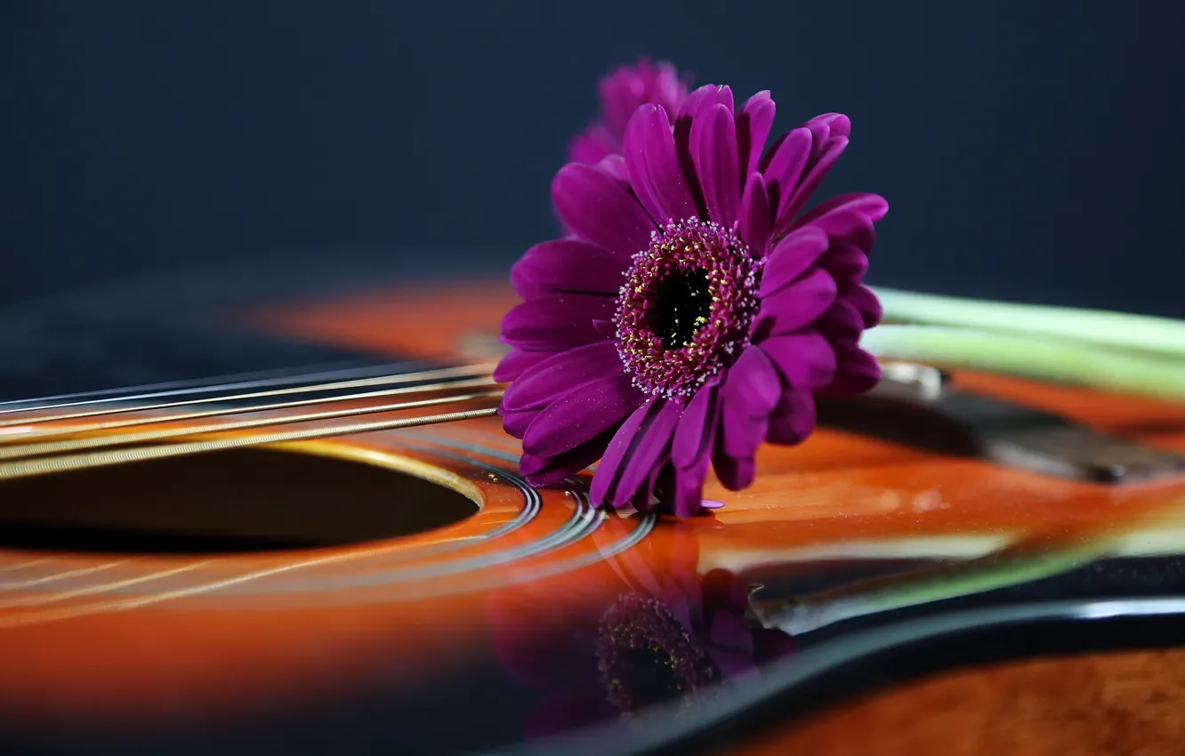 Photo wallpaper flowers, background, guitar