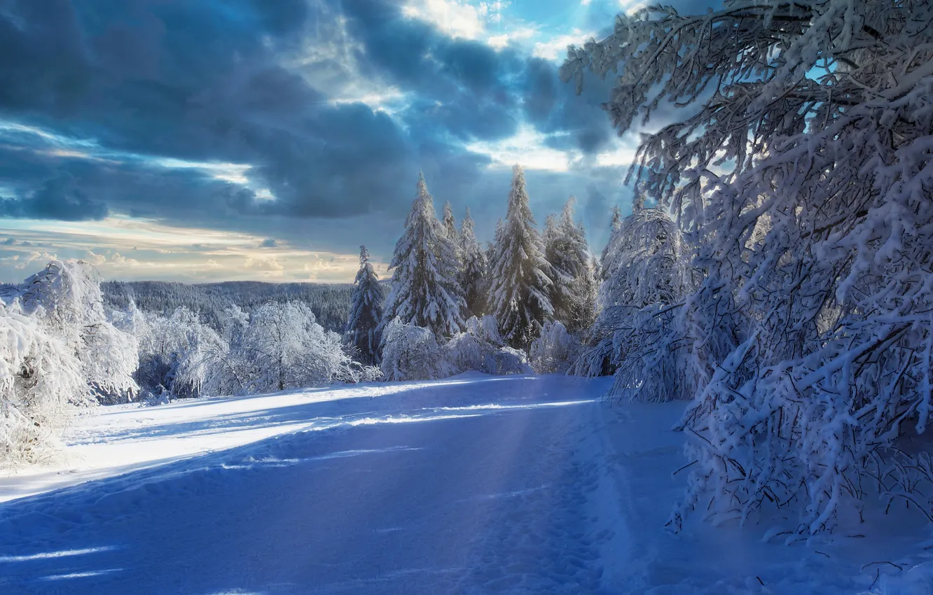 Photo wallpaper winter, road, field, forest, the sky, clouds, rays, light
