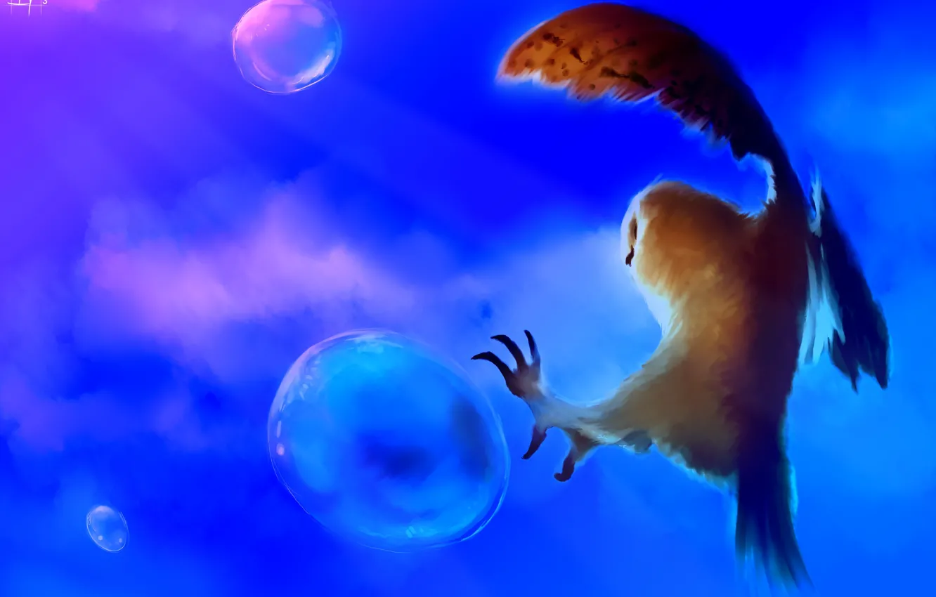 Photo wallpaper bubbles, background, owl, bird, art