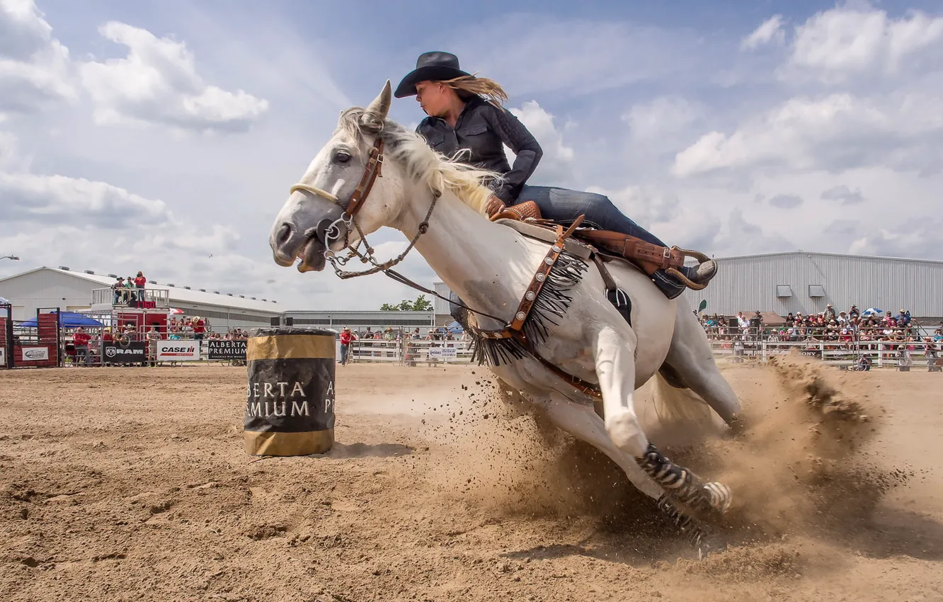 Photo wallpaper girl, horse, sport